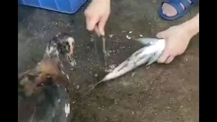 现在的人报复心太强了